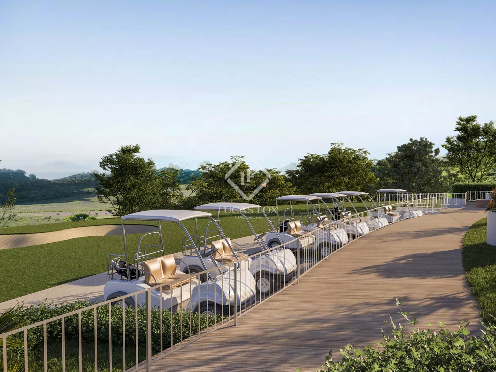Birdie Hills 6