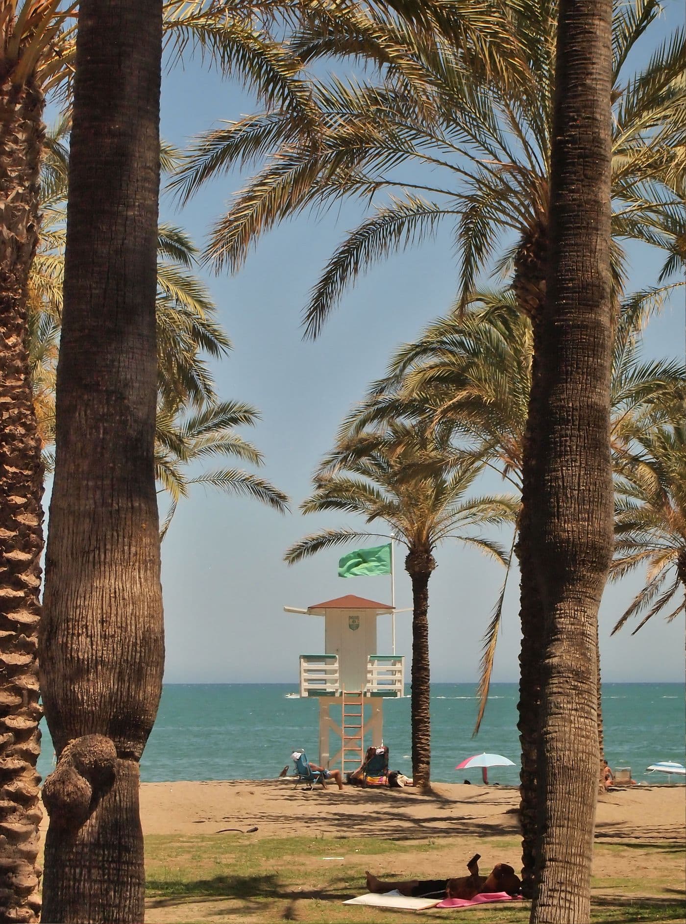 Strand met palmen in Torremolinos