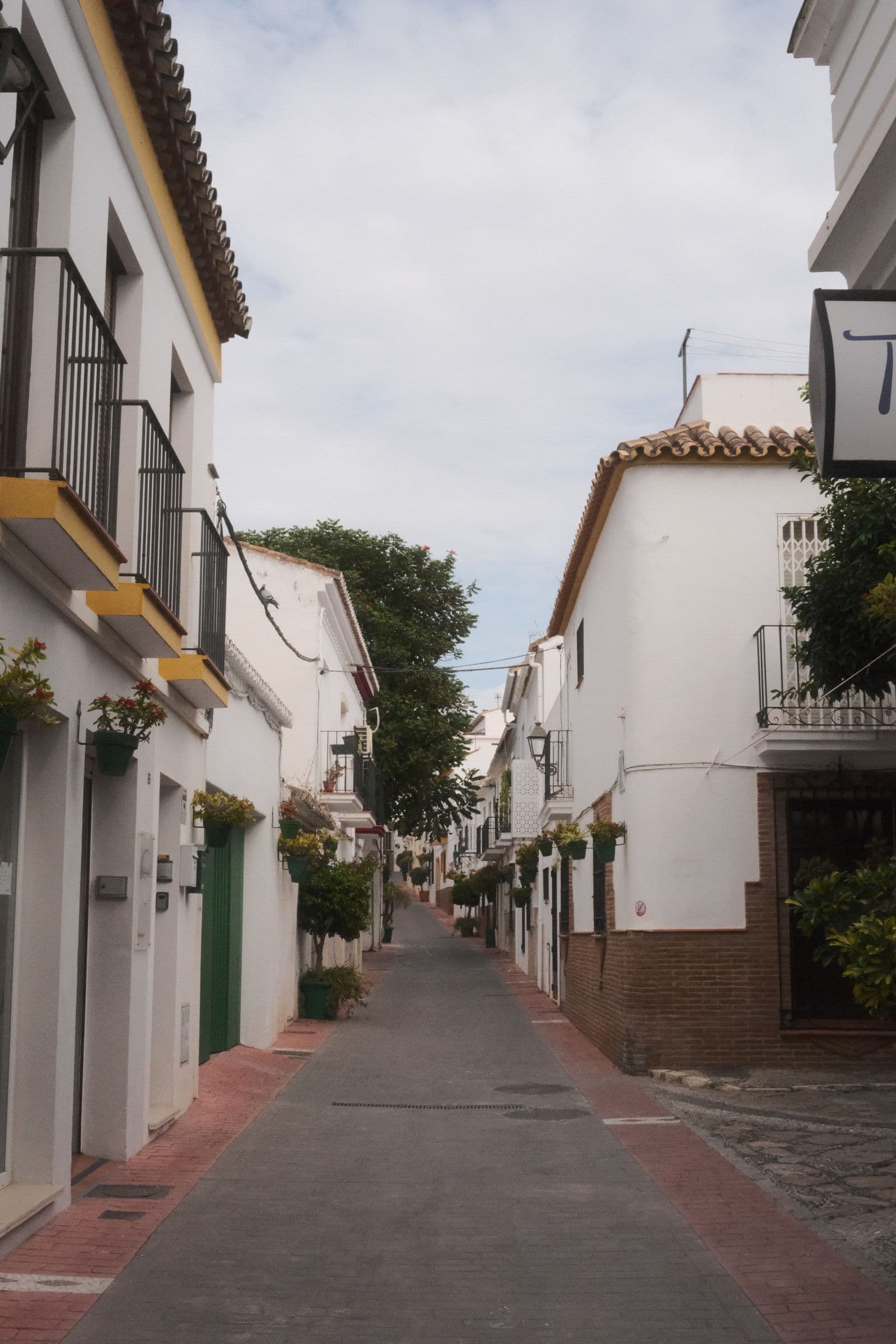 Bloemenstraatje in Estepona