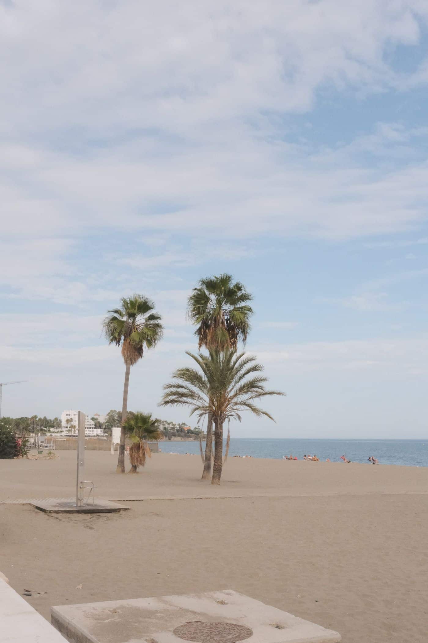 Strand met palmen aan de Costa del Sol