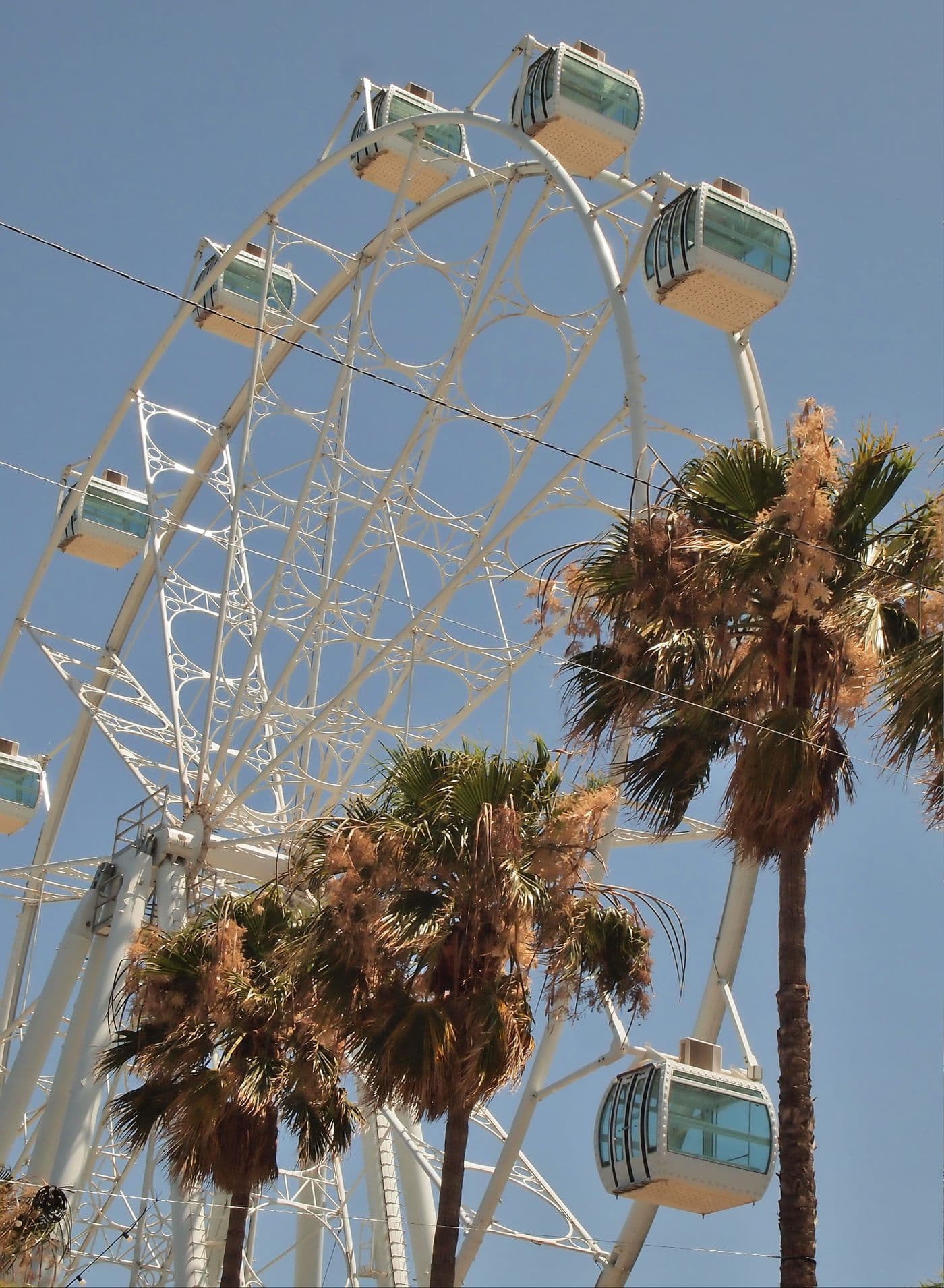 Reuzenrad tussen de palmen in Torremolinos